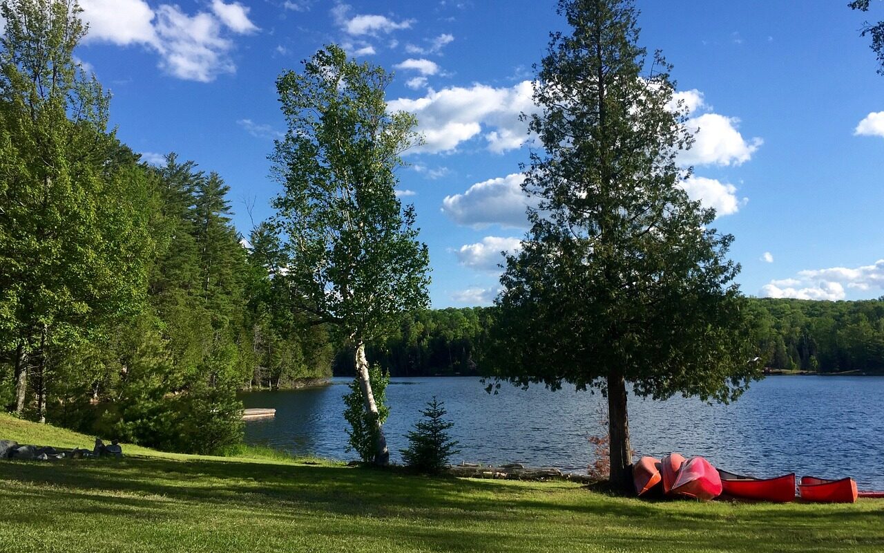 découvrez notre nature retreat, un sanctuaire de paix et de sérénité où vous pourrez vous reconnecter avec la nature. profitez d'activités en plein air, de séjours bien-être et d'un environnement apaisant pour ressourcer votre esprit et revitaliser votre corps.