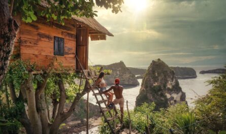 cabane dans les arbres